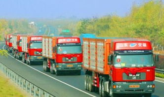 网络平台道路货物运输经营管理暂行办法 明年起施行